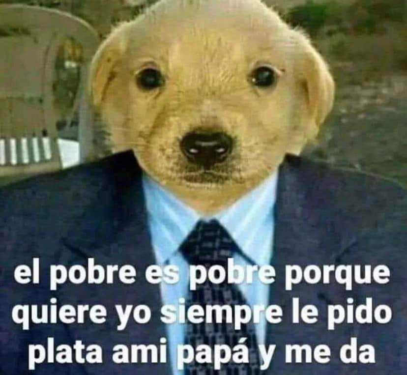 Última del año