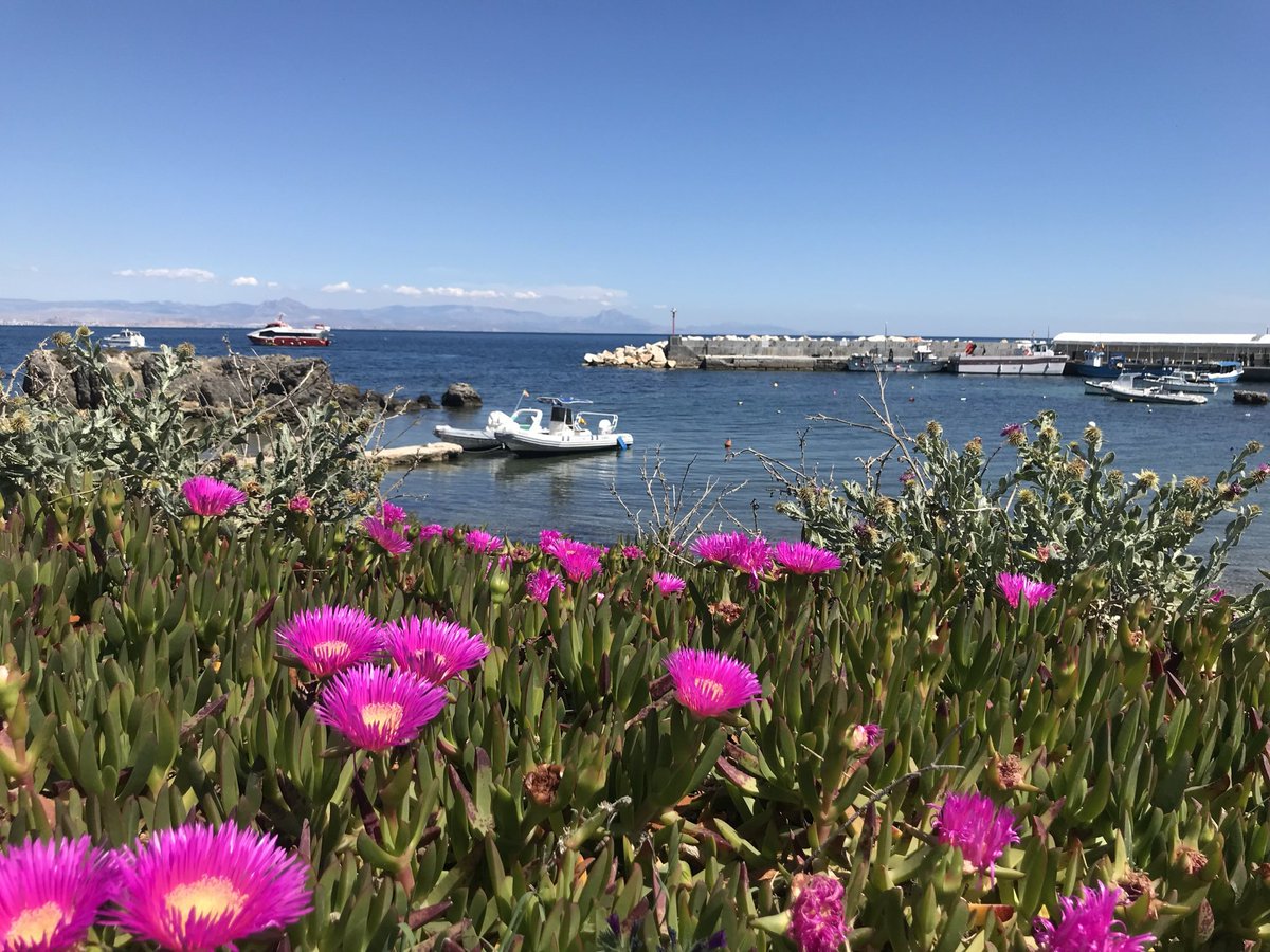 TouristSpain's tweet photo. #Playa de Tabarca #Alicante 

🌊a 🌞wonderful 🏝️place🌊 https://t.co/UuOcDssIpL