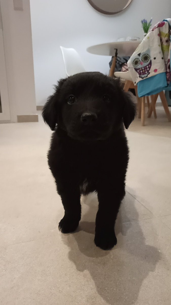 mamartadas's tweet photo. mi hijo 🥺 https://t.co/vuEExmxWFJ