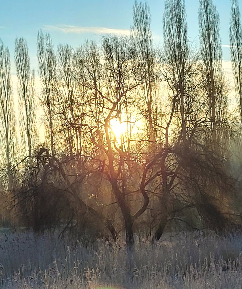 annealais's tweet photo. Bonjour, très belle journée https://t.co/PfhmfpA5ut