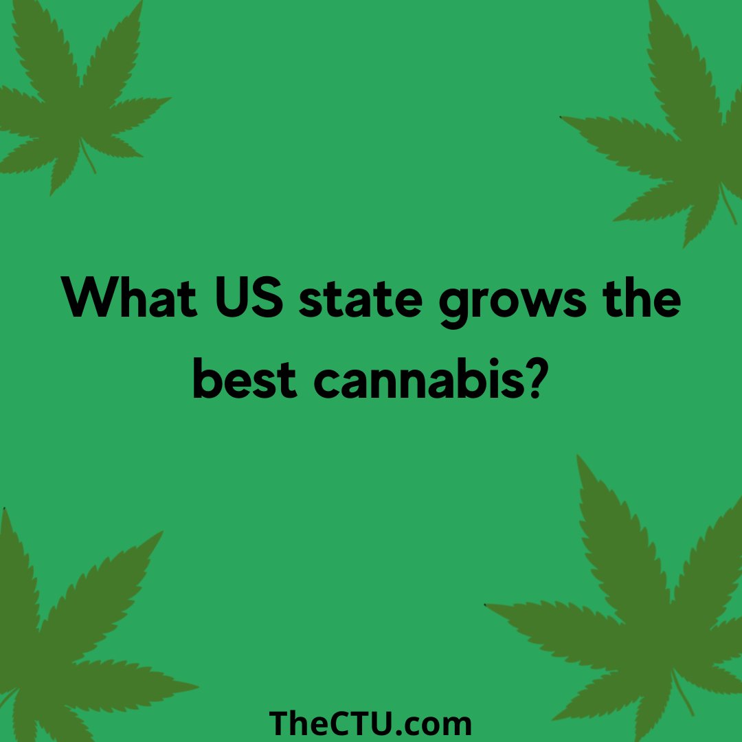 Cannabis Training University tweet media