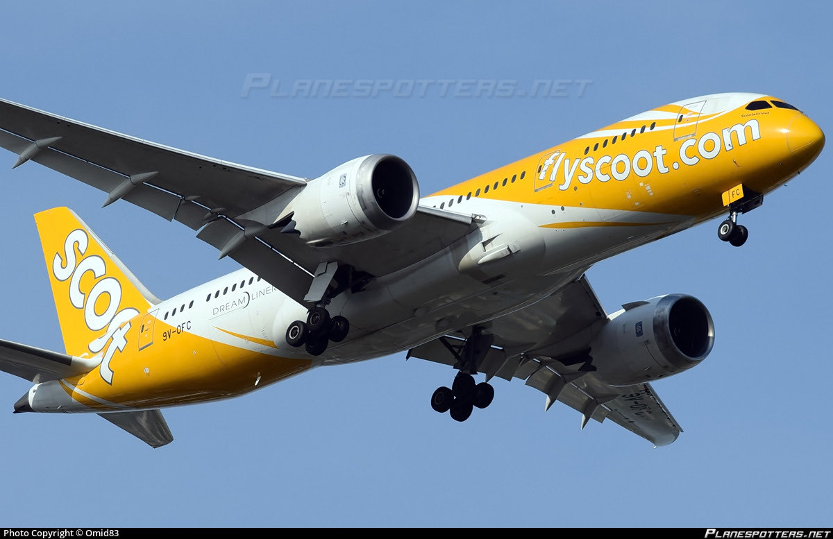 JetArena on Twitter "ANI reports Scoot Airlines flight TR509 bound