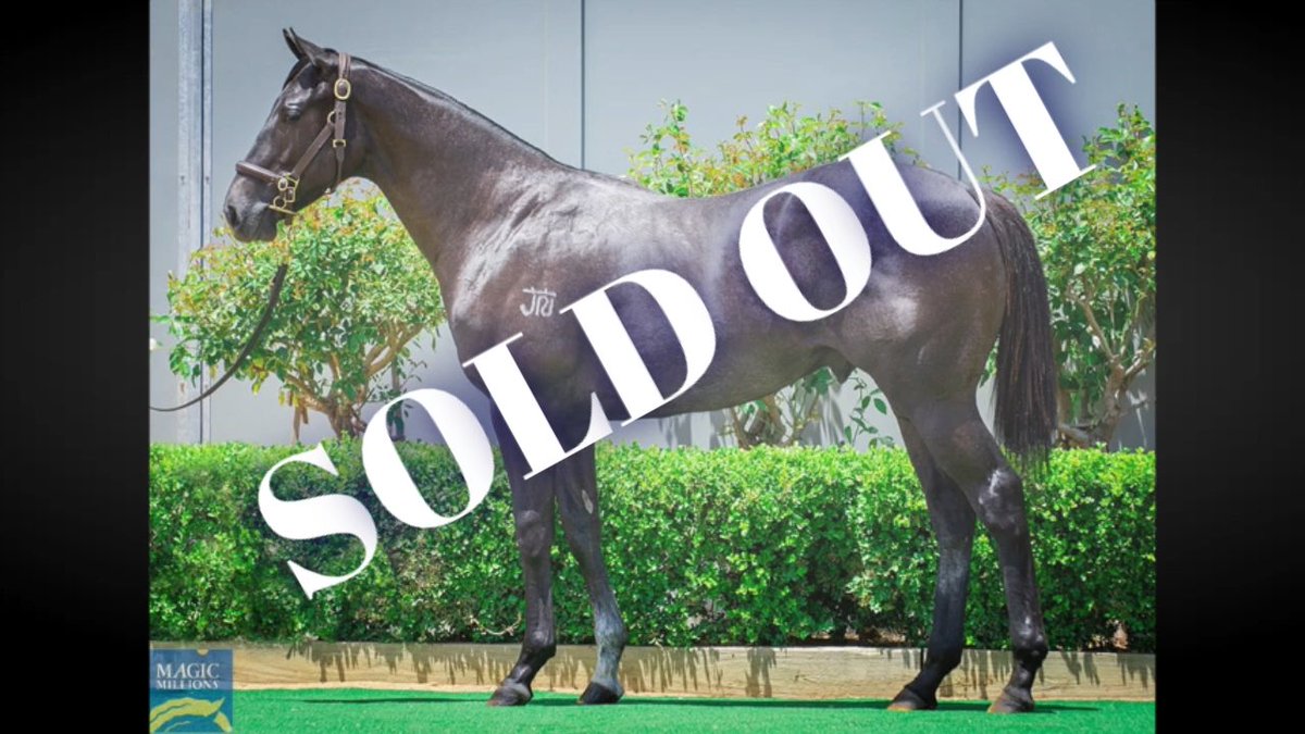 DunnTRacing tweet media