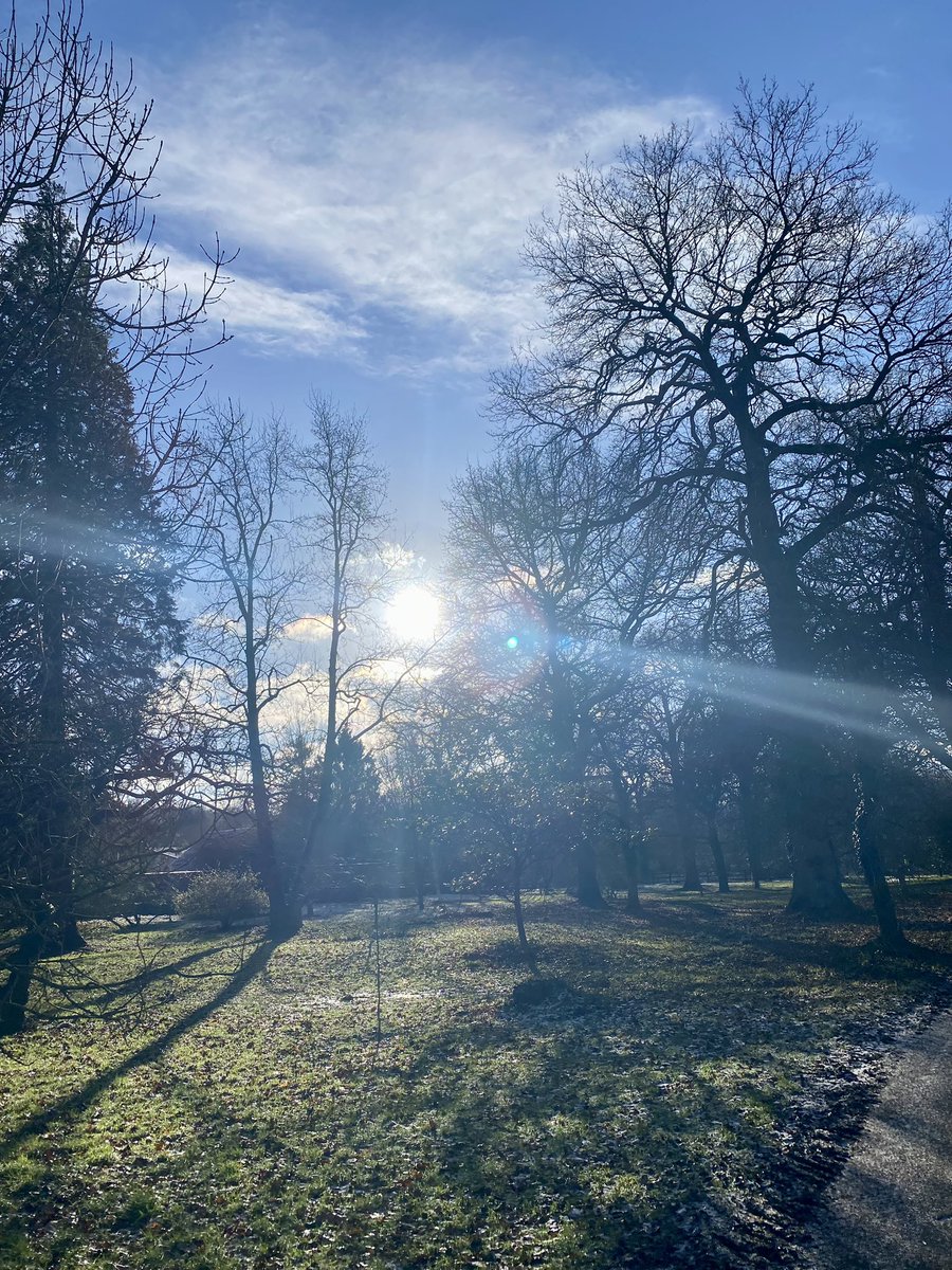 Stef_Tinsley's tweet image. A cold but glorious couple of days at @WiltsColl Lackham exploring learner progress and individualised learner journeys, engagement and ambition. 
Today online creating some video support resources. #lovemywork 

Fave moment…. The freshly cut pine trees 🌲 💚
