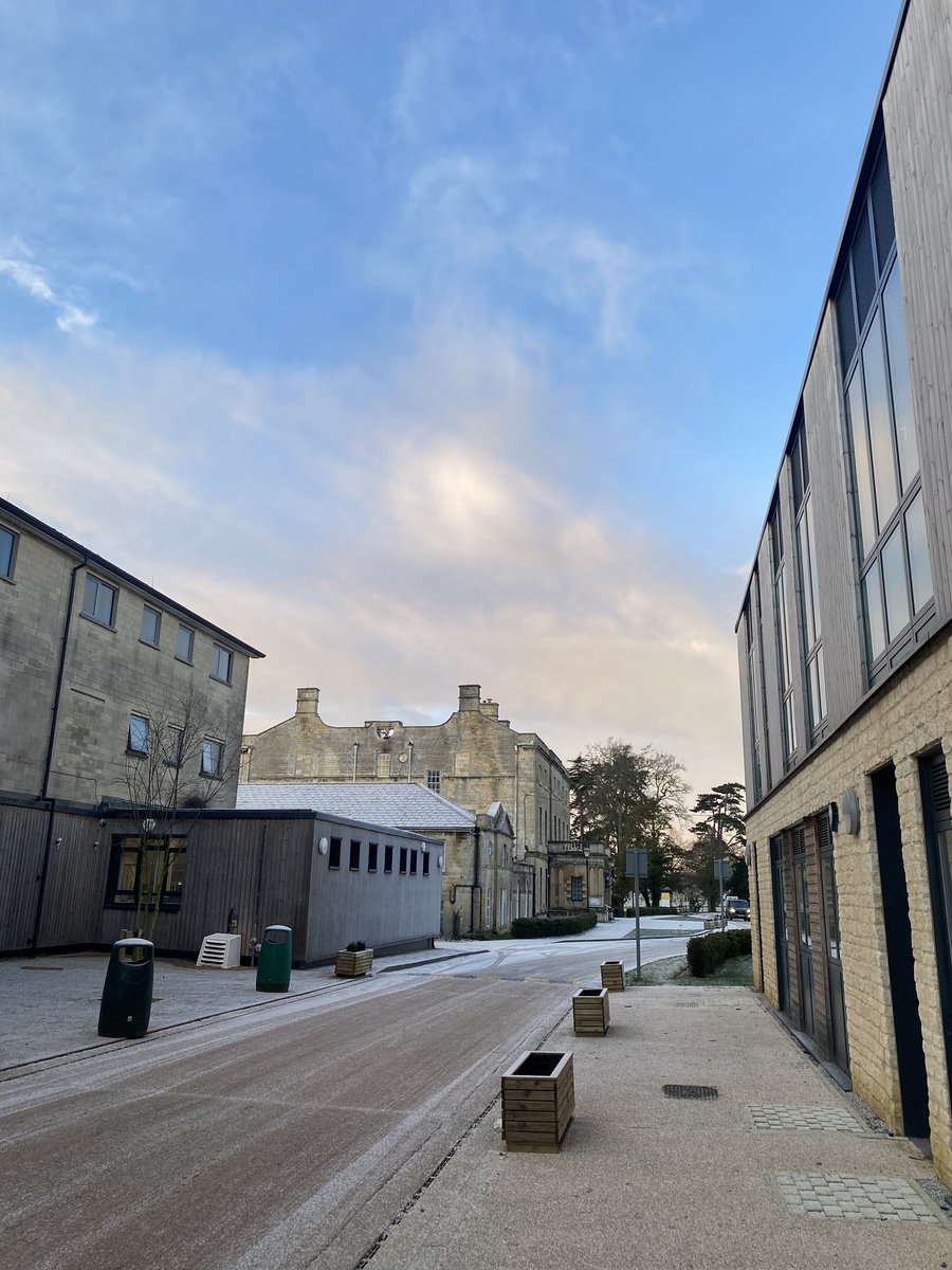 Stef_Tinsley's tweet image. A cold but glorious couple of days at @WiltsColl Lackham exploring learner progress and individualised learner journeys, engagement and ambition. 
Today online creating some video support resources. #lovemywork 

Fave moment…. The freshly cut pine trees 🌲 💚