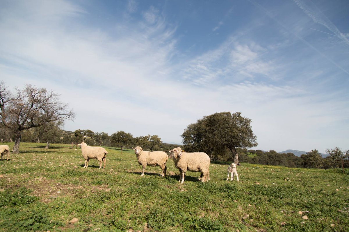 Un lugar para construir futuro:

Nuestra tierra.

¿Nos acompañas?

#SRL
