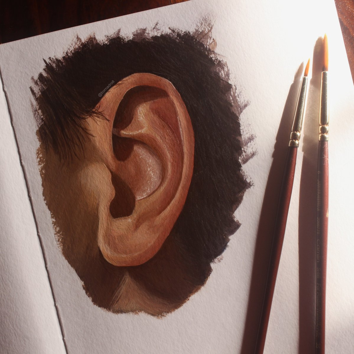 BornAdroit's tweet photo. Ear Study
Acrylic on paper
https://t.co/bQLnLvKcuf
#acrylicpainting #acryliconcanvas #paintingoncanvas #paintingoftheday #contemporarypainting #realisticart #realism #realisticpainting #handstudy #realismart #ear #realisticartwork #artoftheday #indianartist #earstudy @ArtMutuals https://t.co/tN7oTPWNUd