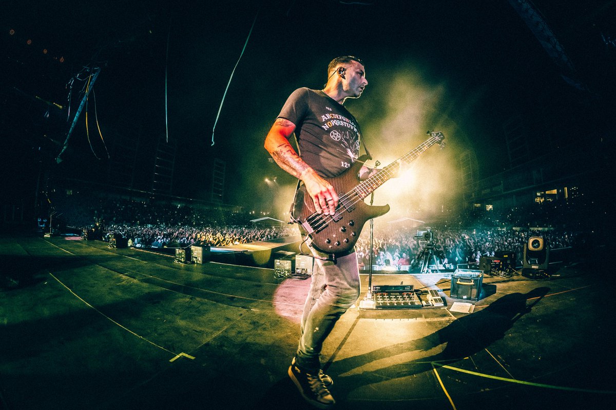muse tweet media