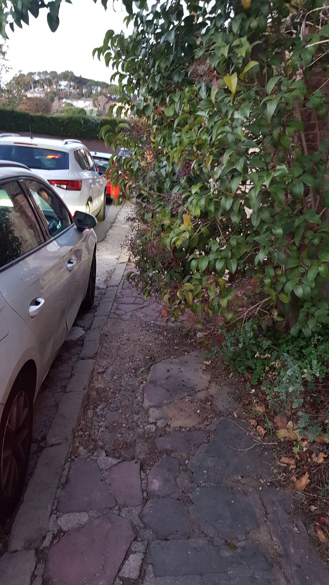 Sermolcas's tweet photo. A la EMD #Bellaterra: pretendre fer un camí escolar al carrer Pedregar i no tenir cura del seu propòsit és també la seva responsabilitat, (03-11-22 Instància  E-2022-574). Com poden fer-ne ús els infants? #Cerdanyola @BellaterraDiari https://t.co/fyM7rITesw