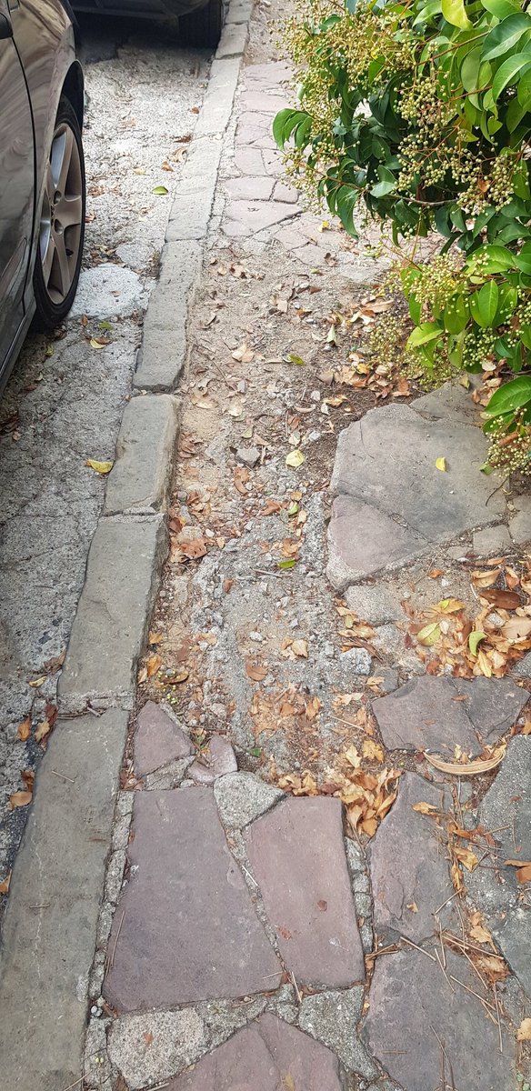 Sermolcas's tweet photo. A la EMD #Bellaterra: pretendre fer un camí escolar al carrer Pedregar i no tenir cura del seu propòsit és també la seva responsabilitat, (03-11-22 Instància  E-2022-574). Com poden fer-ne ús els infants? #Cerdanyola @BellaterraDiari https://t.co/fyM7rITesw