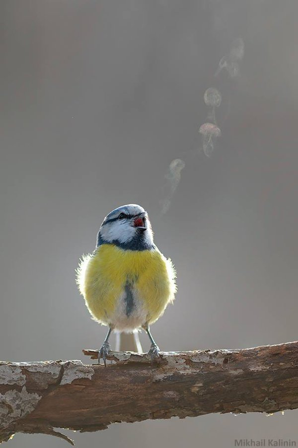 TimoteoBriet's tweet photo. vortices.... https://t.co/XJovt8wvDS