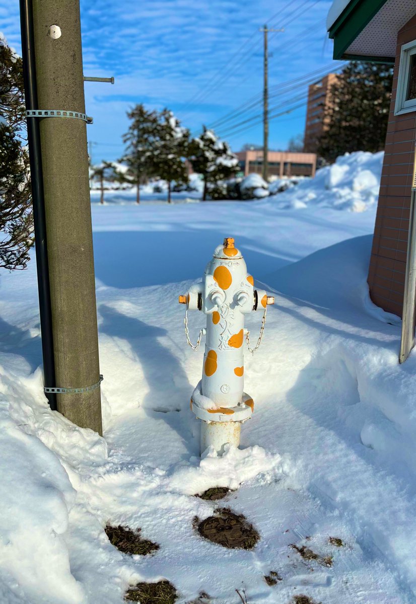 studio_attore's tweet photo. 本日
 #酪農学園大学
にて就活写真の撮影会を
実施中です！！
詳しくは、キャリアセンターまで
どうぞ！！

明日まで👍

#就活
#写真
#スタジオアットーレ https://t.co/qjRvmPDIOk