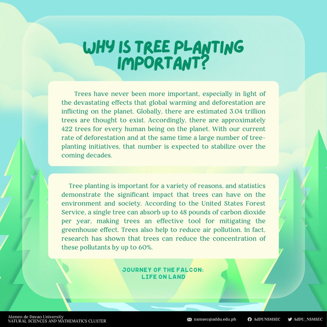 AdDU_NSMSEC's tweet photo. Trees have always been an integral part of the environment, as well as in our society. In an effort to combat deforestation, tree planting is done to restore our forests.
But why exactly is tree planting so important?
#JourneyOfTheFalcons🦅
#LifeOnLand🪴
#ExceedingExcellence✨ https://t.co/Dcu7GaDGXS