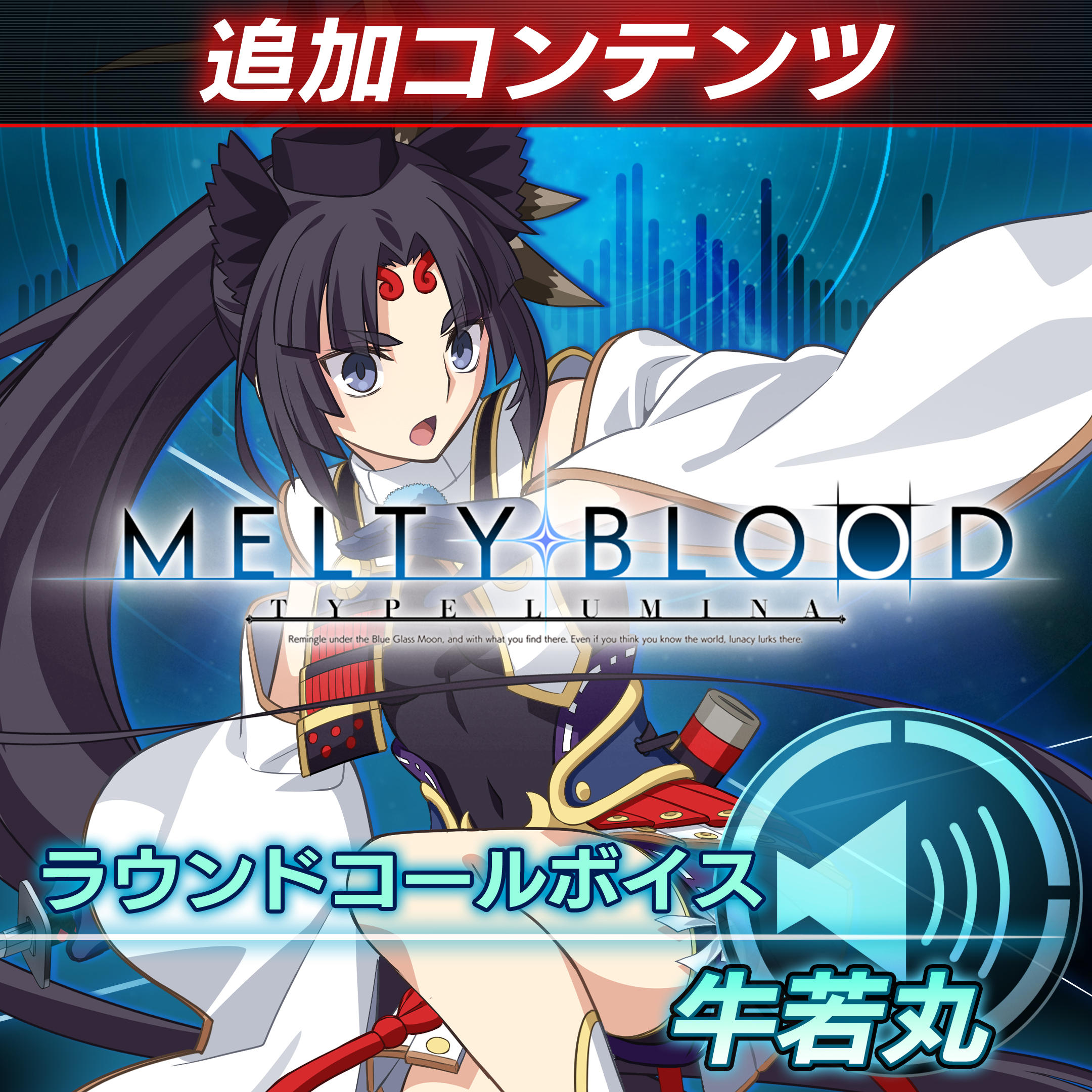 【ゆうちゃん様専用】MELTY BLOOD: TYPE LUMINA 家庭用ゲームソフト 両立のぼり　大