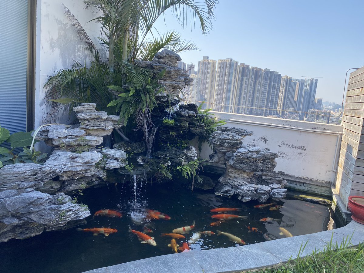 haihao5698's tweet photo. 闹中取静 https://t.co/E9OEFtZbqm