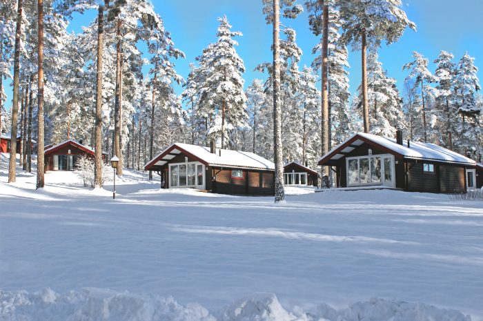 Danish Cardiovascular Academy tweet media