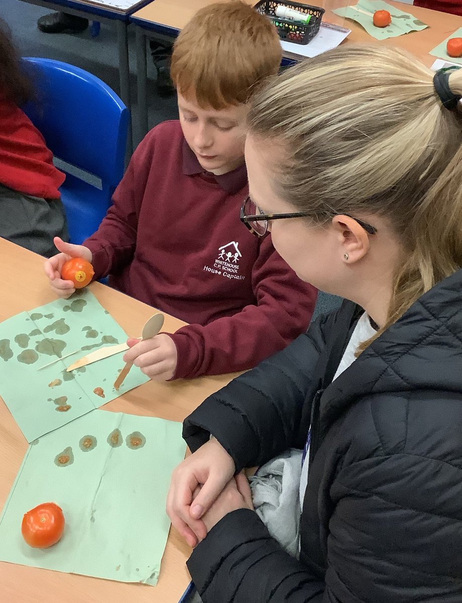 Year six children enjoyed an interactive session with their parents, learning about how and why the Ancient Egyptians mummified their pharaohs by practising mummification on a tomato!