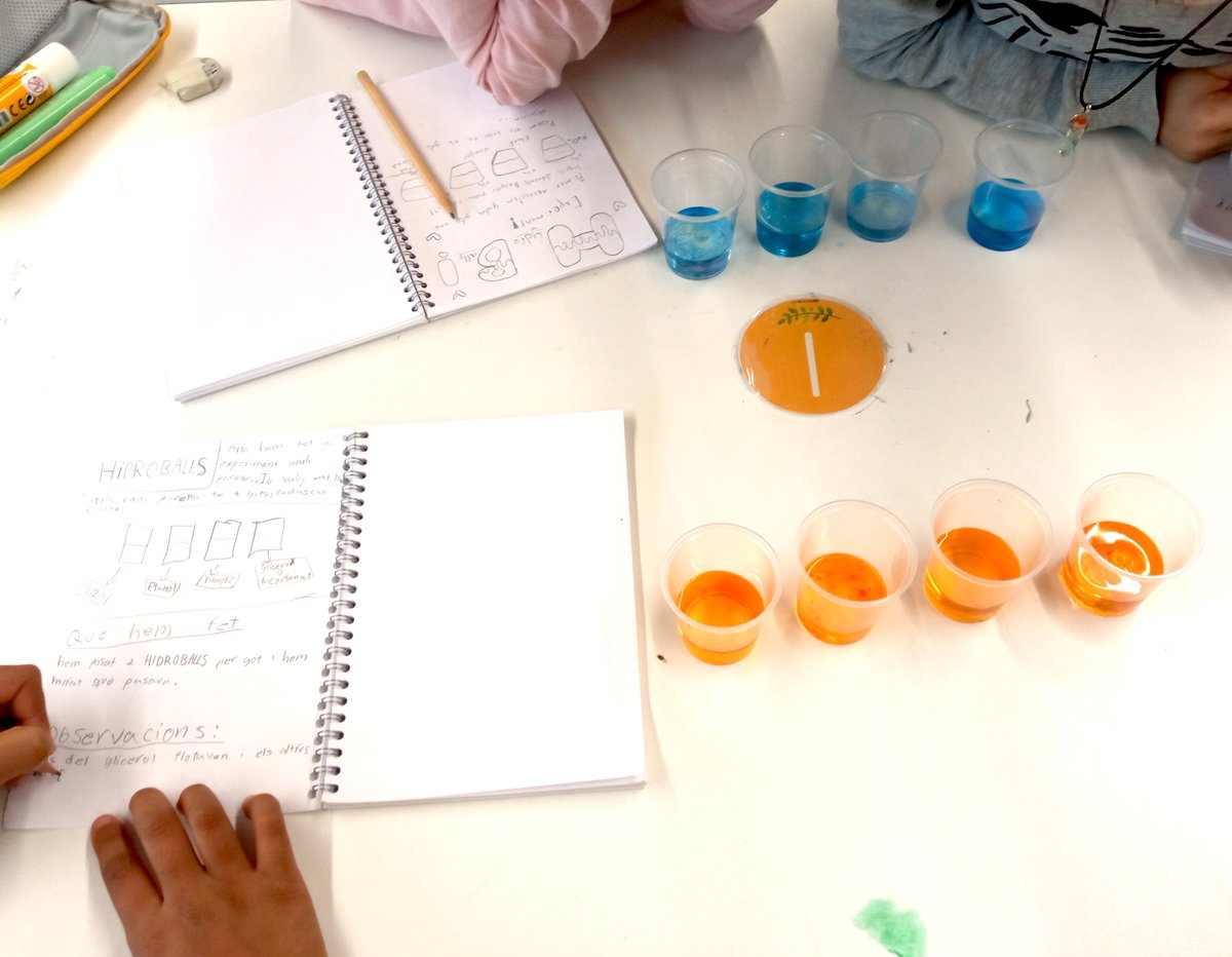 LABCLUBbcn's tweet photo. Any nou, experiments nous!
#tallerscientifics #FluidDensity #educacioprimaria #STEM #STEMEd #extraescolars #química #reaccionsquímiques #chemicalreactions #Chemistry https://t.co/3smT40EiK0