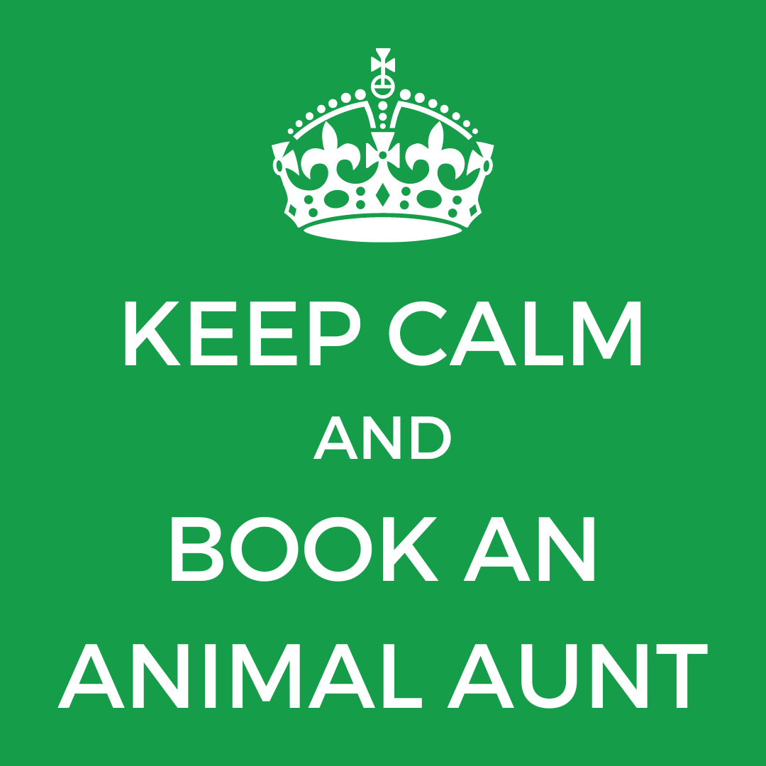 AnimalAunts's tweet photo. When you book with Animal Aunts you can be sure you will be allocated an Animal Aunt who has a wealth of experience taking care of all different types of animals and often times a menagerie! #petsitter #animalsitter #housesitter https://t.co/myJBEQXsSS