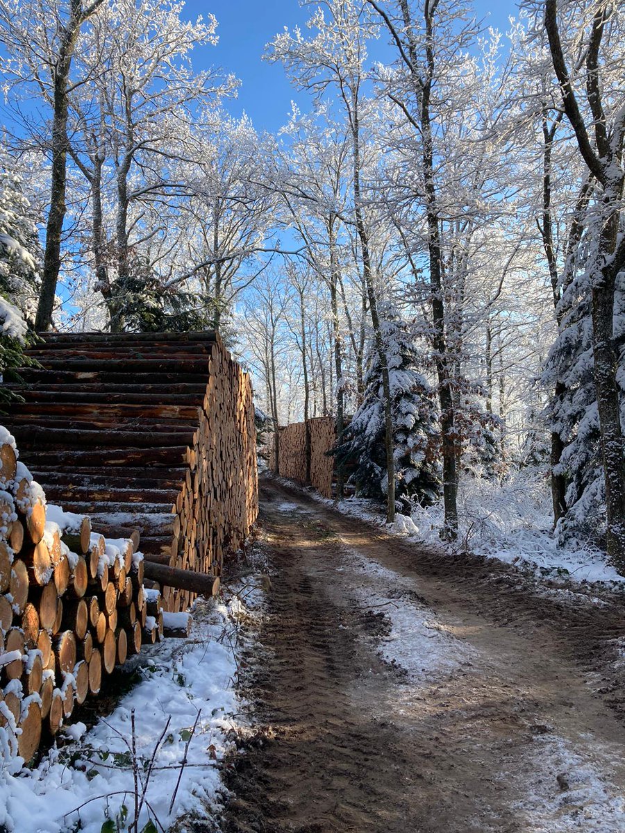 UCFFcoop's tweet photo. Quelques photos de nos belles #forêts enneigées dans le @rhone_fr 🌳🌲❄️
Douglas, Chênes, Hêtres, Sapins, Epicéas… autant d'#arbres magnifiques que l'on peut retrouver. Merci aux forestiers de la #coopérative #COFORET qui gèrent ces forêts 🙏😊 #JeudiPhoto 📷 @CindyNegrerie https://t.co/QGPg3ABZ2G