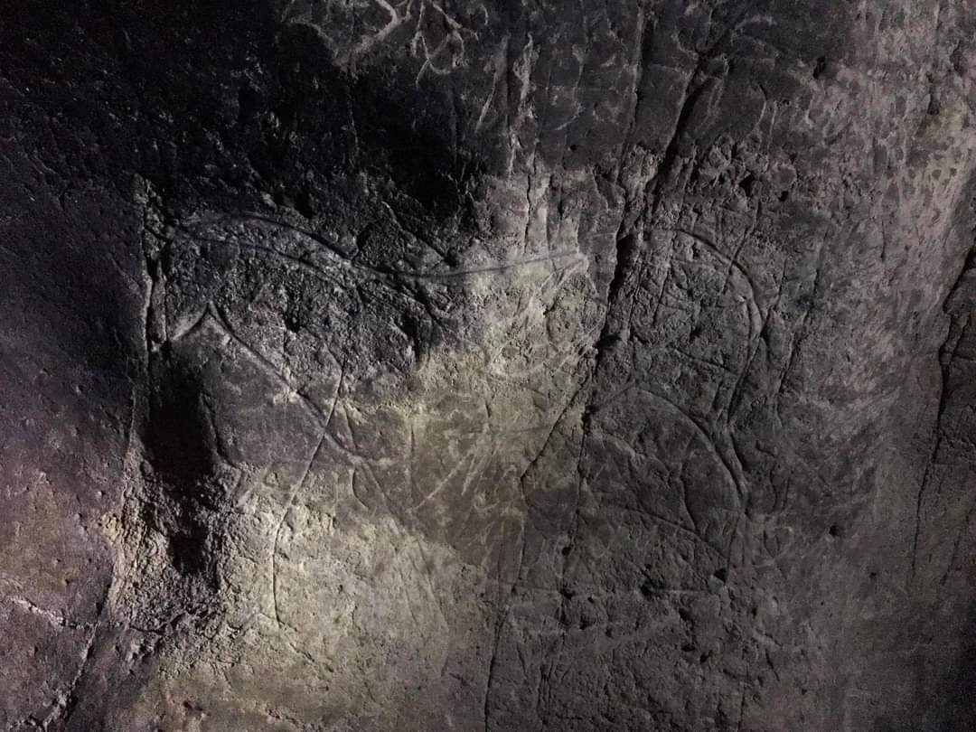 La Cueva de "Los Casares", arranca una nueva campaña de visitas. Y el descubrir sus milenarios grabados, sigue siendo con entrada gratuita. ¿Quieres viajar a la prehistoria? Toma nota, y descúbrela.👇🏼
ventaenlinea.castillalamancha.es/ventaenlinea/p…