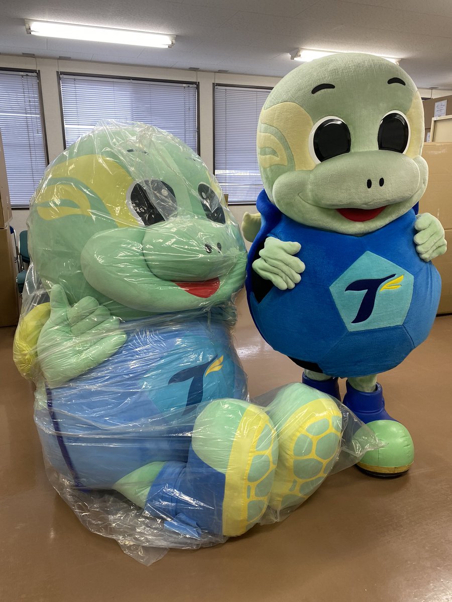 おつかめさまです＼(^o^)／ OBSさんのメガニータンの開封の儀を