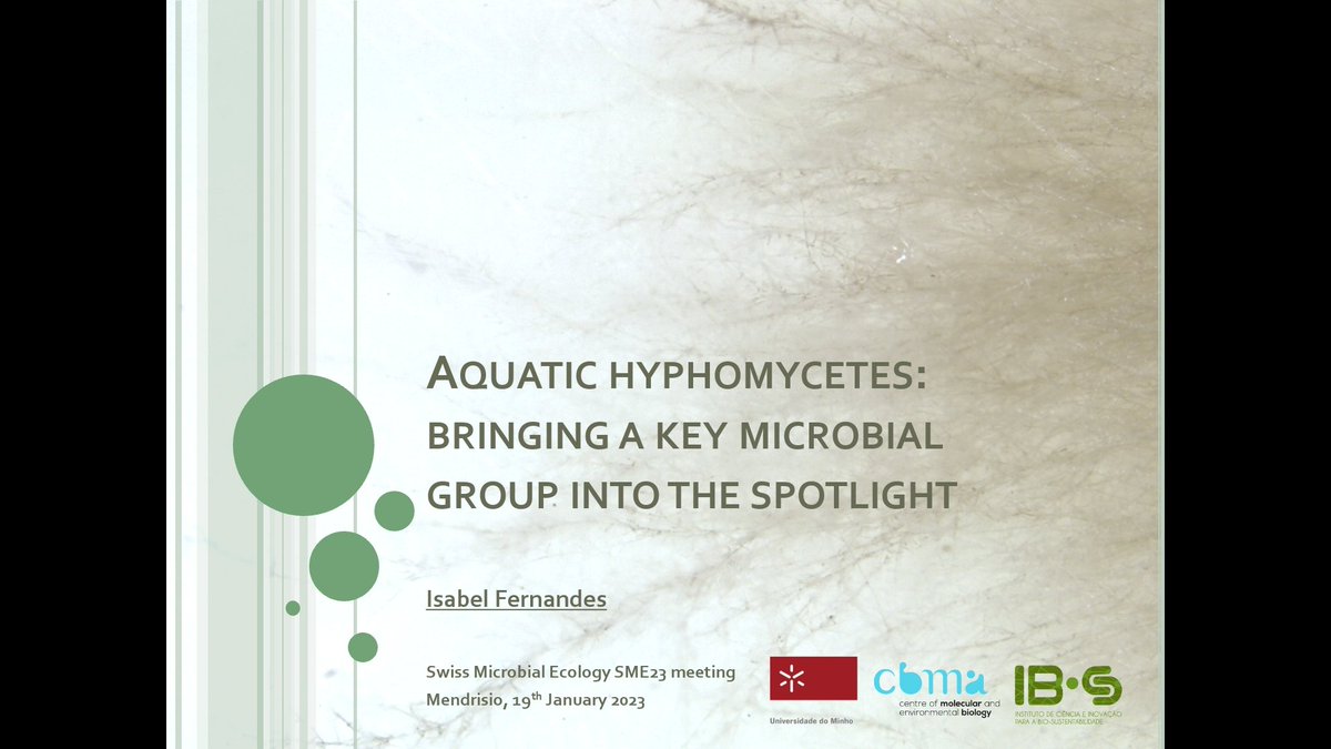 This afternoon I'll be giving a plenary at the Swiss Microbial Ecology SME23 meeting about #AquaticHyphomycetes. Join us to know more about this incredible group of #aquaticfungi

#lovemyjob #cbma #uminho #supsi #fungi #freshwaters