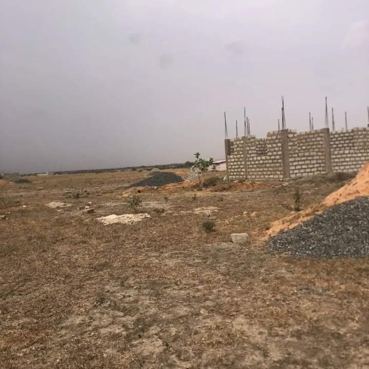 Richard73769542's tweet photo. Are you looking for a plot of land for your building project? Look here for your genuine and affordable Estate Land which comes with free documentation.
#realestate #landscape #landforsale #genuine #litigationfree #prank #TV3NewDay #bisakdei #AlphaHour #Bobmarley #Sarkodie https://t.co/bm6O8lcO1V