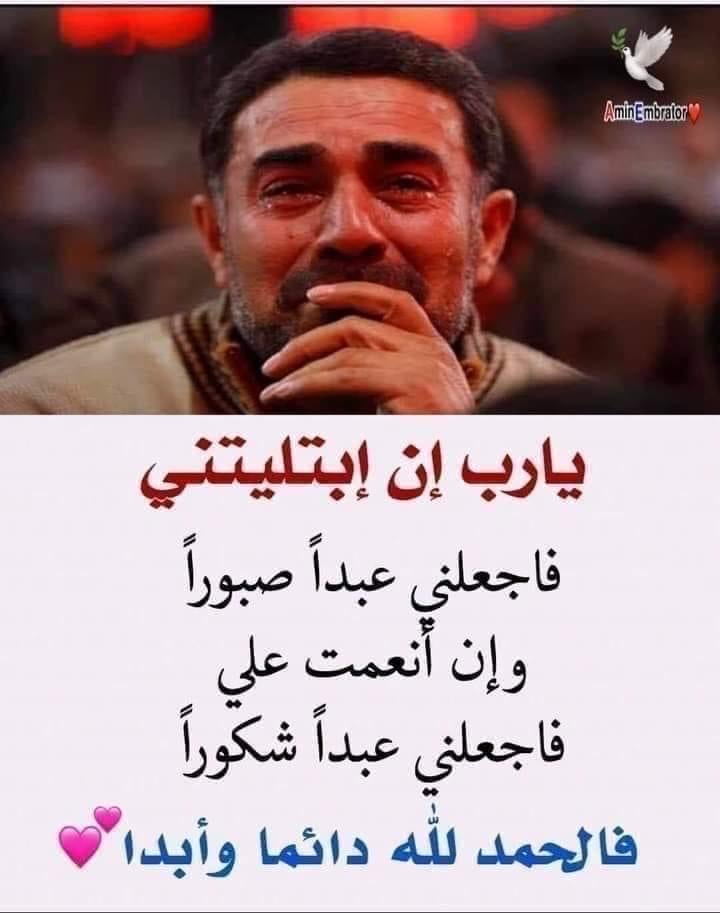 دولت شوقي (@z0z0z777) on Twitter photo 