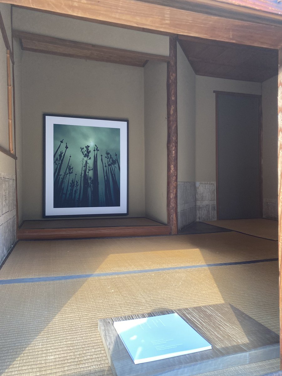 ryosokuin's tweet photo. “RYOSOKU 瞑想回廊 #2”始まりました！

2023年1月19日- 23日
@両足院　事前予約制。
鑑賞料：2,000円

まだご予約可能でございます。

https://t.co/v0mLT2K00q https://t.co/AGSMAA5OHg