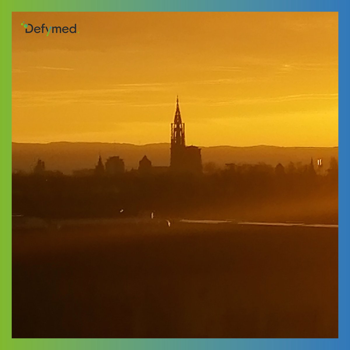 What motivates you to get up in the morning? 
At Defymed it seems that everyone has the same #Defyspirit as the biggest motivations are : 
- the meaning found in our innovations 
- the challenge 
- the team spirit
- and ... last but not least the beautiful view from our offices!
