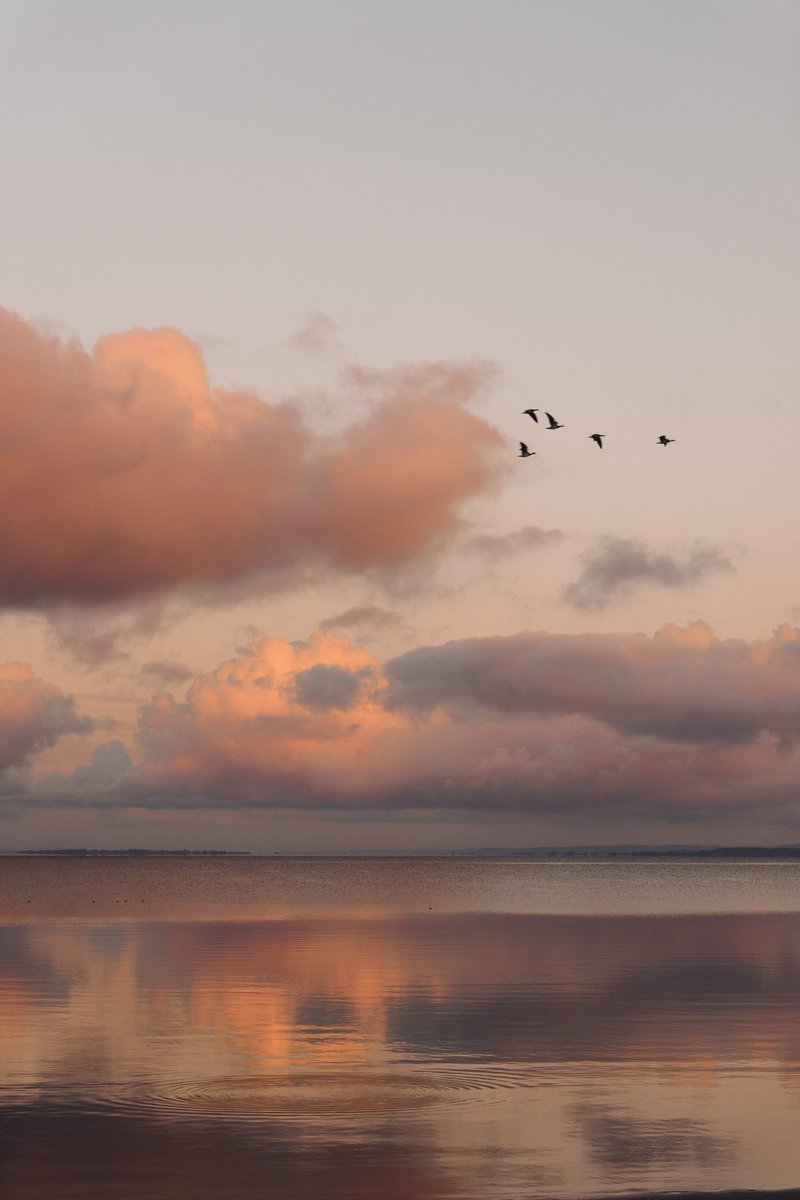 Gm from another day in our bay 🤍