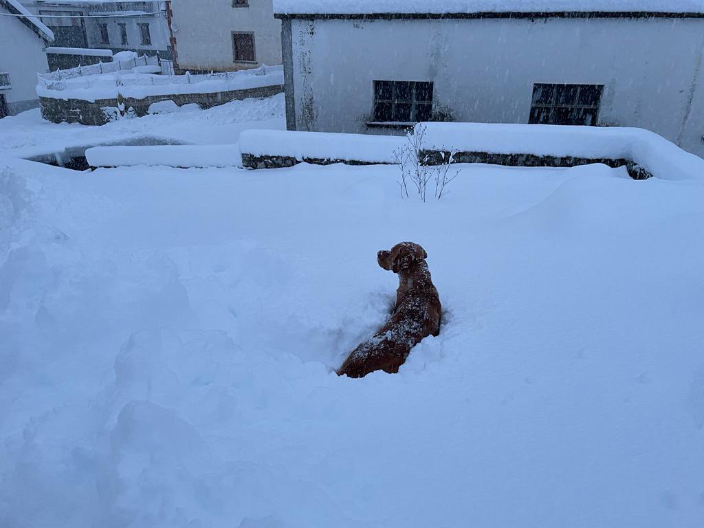 Ya tenemos accesos abiertos gracias al trabajo de G.!!! Increíble labor estos días!!! #vecinosquevalenoro