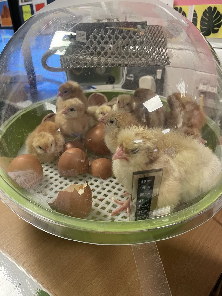 Catherine Moseley tweet media