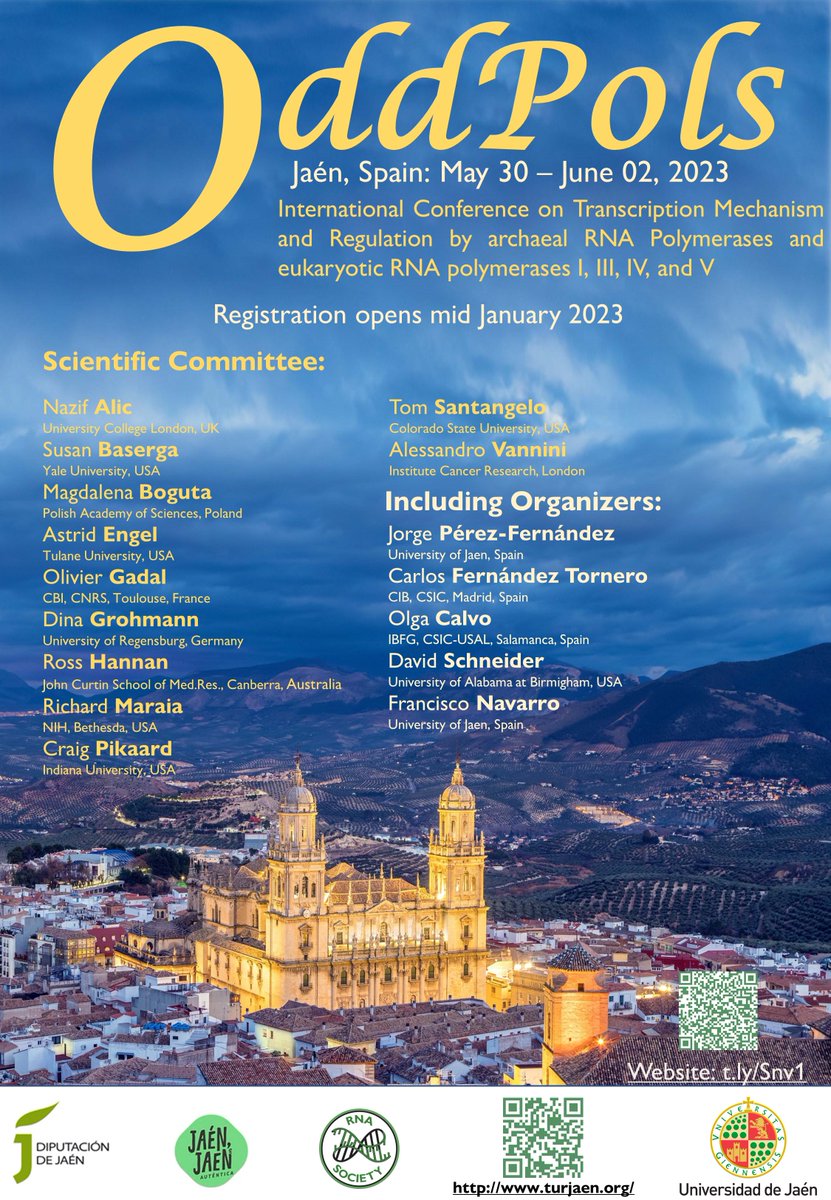 Jorge Perez Fernandez tweet media