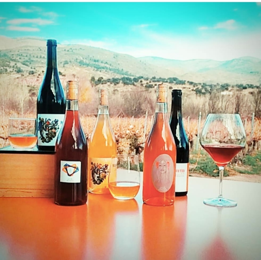 Vinos Naturales tweet media