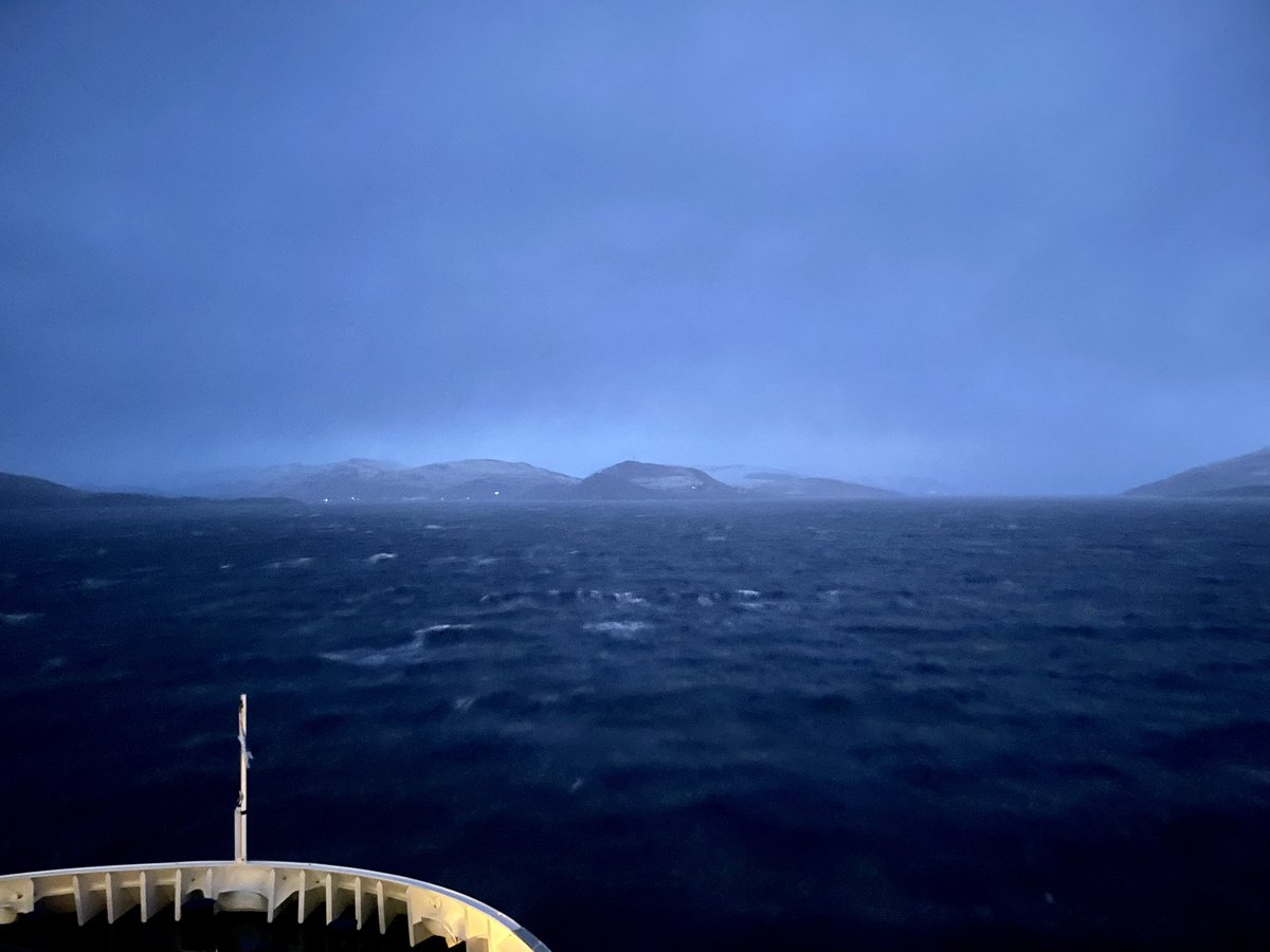 Lewis Mackenzie tweet media