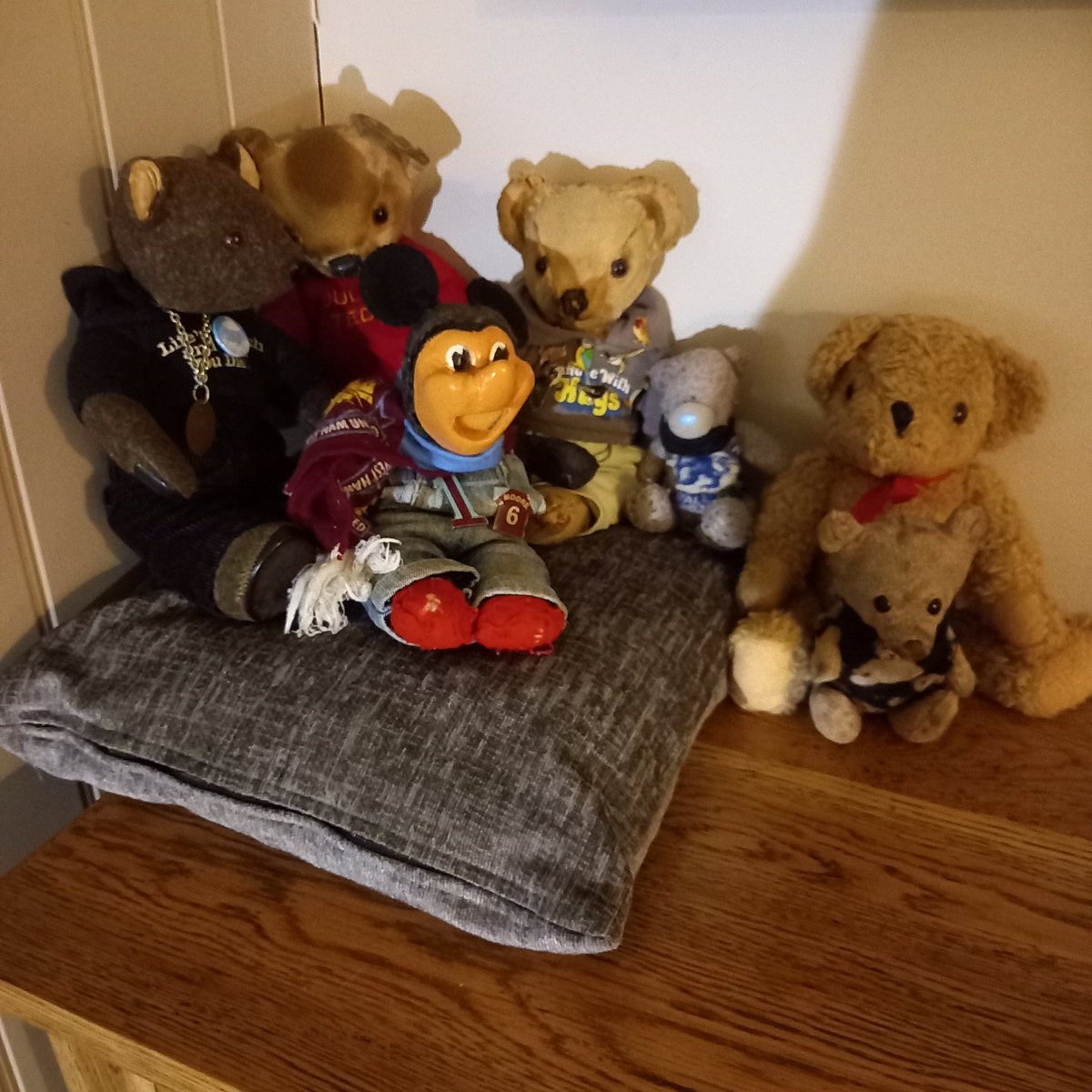 HumpyA's tweet image. I am in @The_Cedars_Inn today to celebrate my 37th birthday with my human companions Julie @joolsTHS , Gordon and my furry brothers @smokeydegrizz @3sieHammer and others.