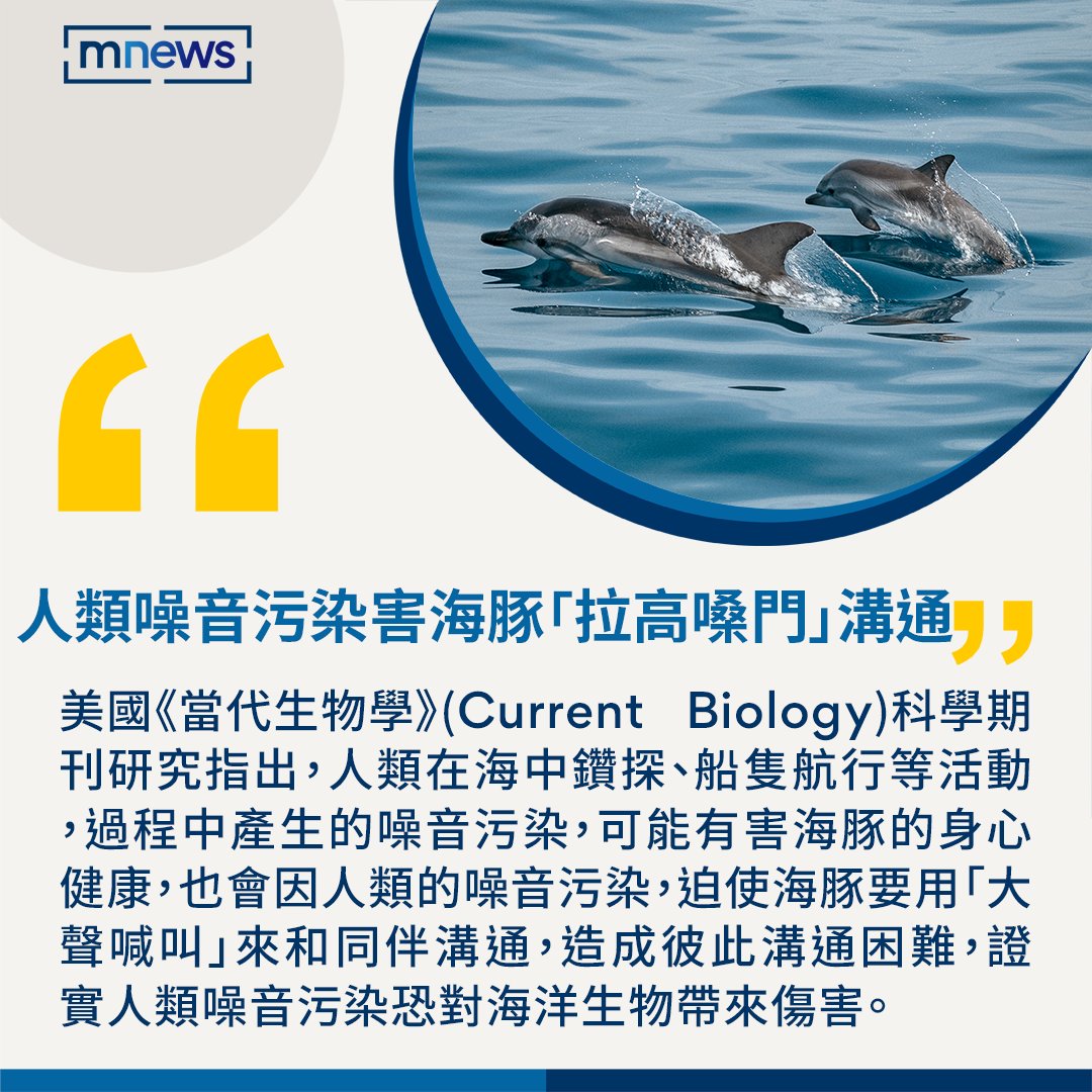 期刊指出，人類在海中鑽探、船隻航行等活動，過程中產生 污染，可能有害 身心健康，也迫使海豚要用「大聲喊叫」和同伴溝通！🐬