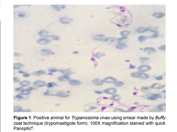 EPOJ - Openventio Publishers tweet media