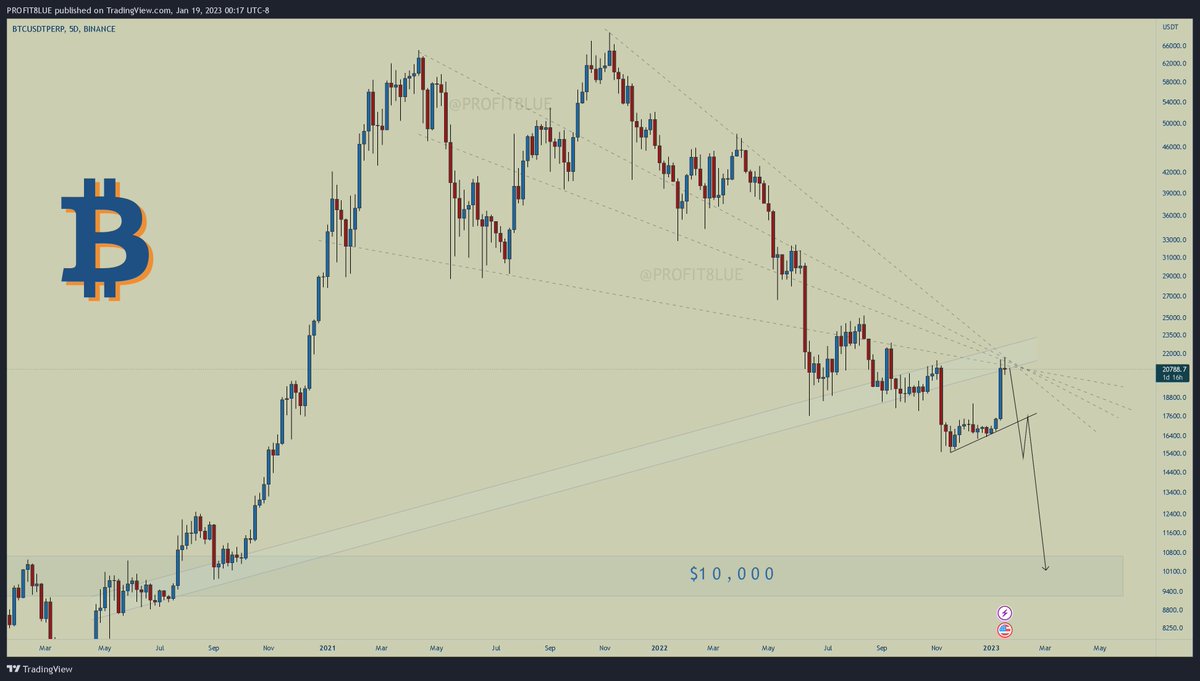 PROFIT BLUE tweet media