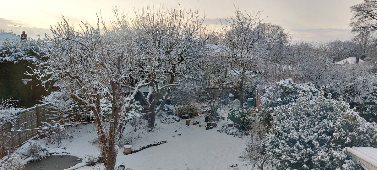 birdwave10's tweet photo. Wilmslow Winter Wonderland before clearing the footpath for apples and sunflower hearts to feed the birds. https://t.co/jyuef8eKZk