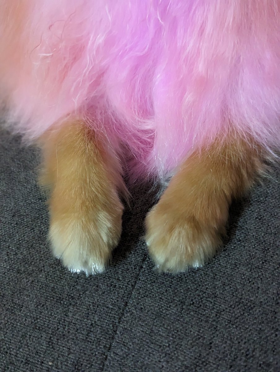 @VioletNekoVT -- GO THERE tweet media