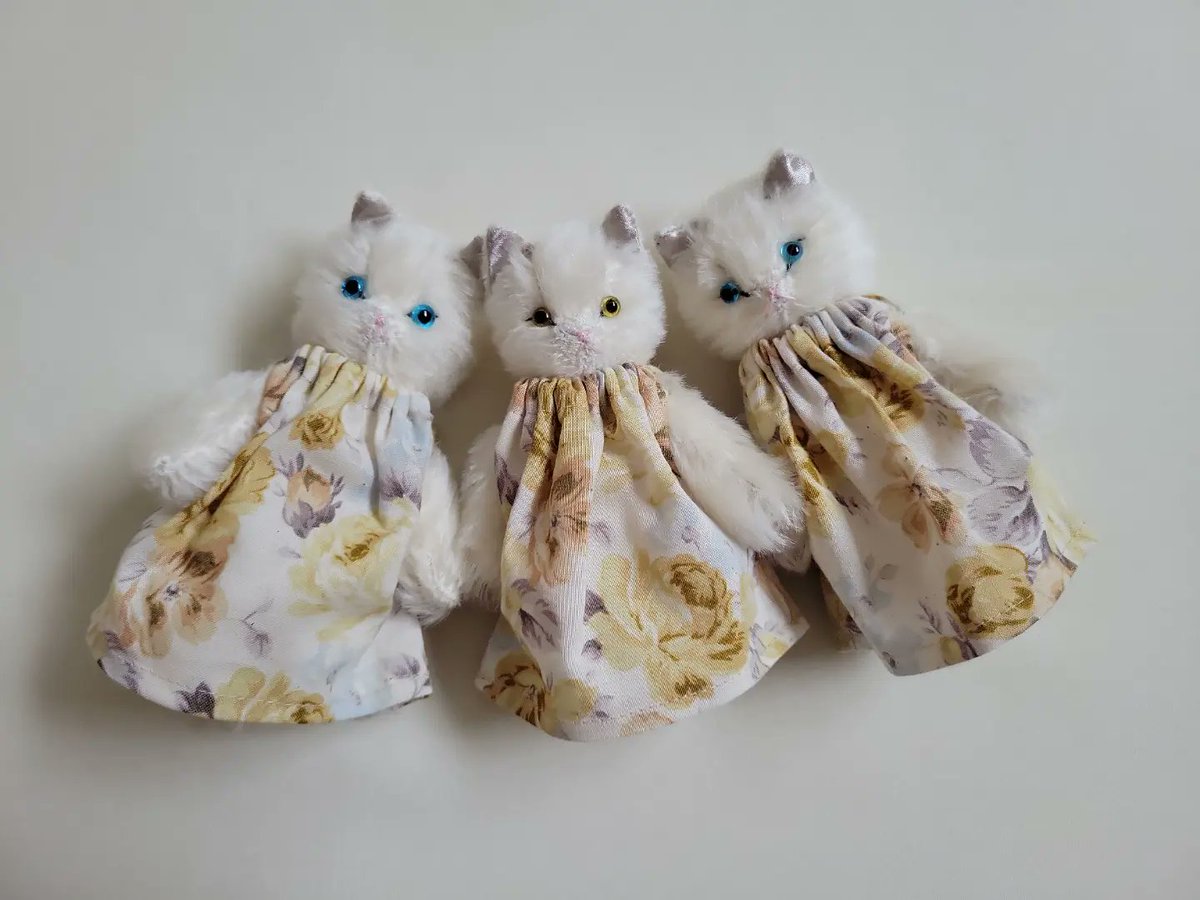 ハヤサキ オシロ 作品 bo-ro ぬいぐるみ 猫 【公式通販】