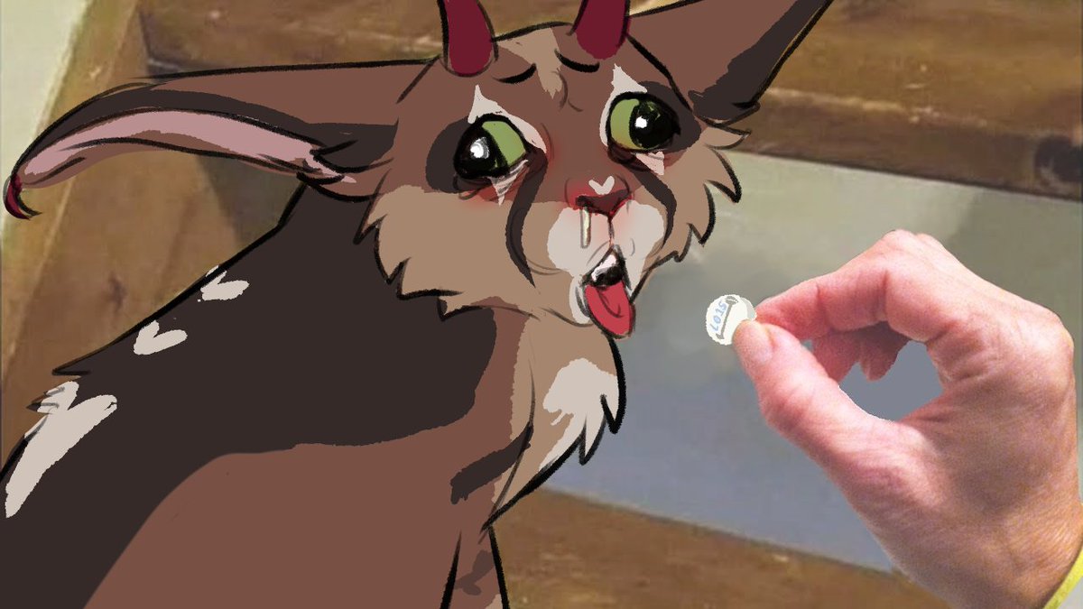 LilRouxi's tweet photo. Make a meme out of this, I fucking dare you. Best one gets to be my profile banner for the rest of the year-
-
#makeameme #memeart #createameme #meme #coughingcat https://t.co/Ku5EeI47ZS