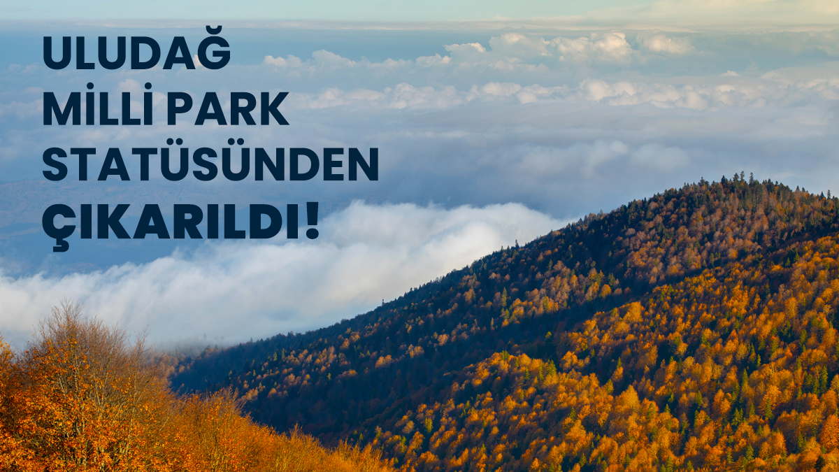 Uludağ’ı ve barındırdığı ekosistemleri yok edecek teklif yasalaştı!

1961 yılından bu yana milli park olan Uludağ, mevcut statüsünden çıkarılarak yeni kurulacak olan Alan Başkanlığı’na devredildi. ⬇️