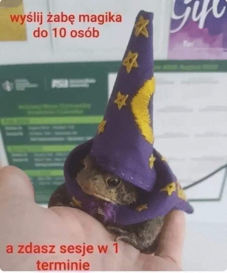 egzystencja0_0's tweet photo. Wysyłam wam
#studia2023 https://t.co/yvcTj586t6