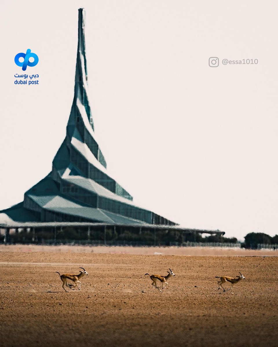 Dubai Post tweet media
