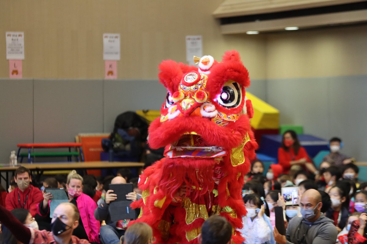 NAISHongKong's tweet photo. Today we had a very special guest who visited our three campuses and gave us a wonderful lion dancing performance. Our students and teachers also gave us a range of fantastic performances including dragon dance, singing and dancing. We wish all of you a happy new year of Rabbit! https://t.co/7GqtxVnKKe