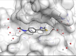 PhD studentship in organic synthesis! Deadline fast approaching for this fully funded studentship in the group of our new colleague Dr Storm Hassell-Hart

sussex.ac.uk/study/fees-fun…